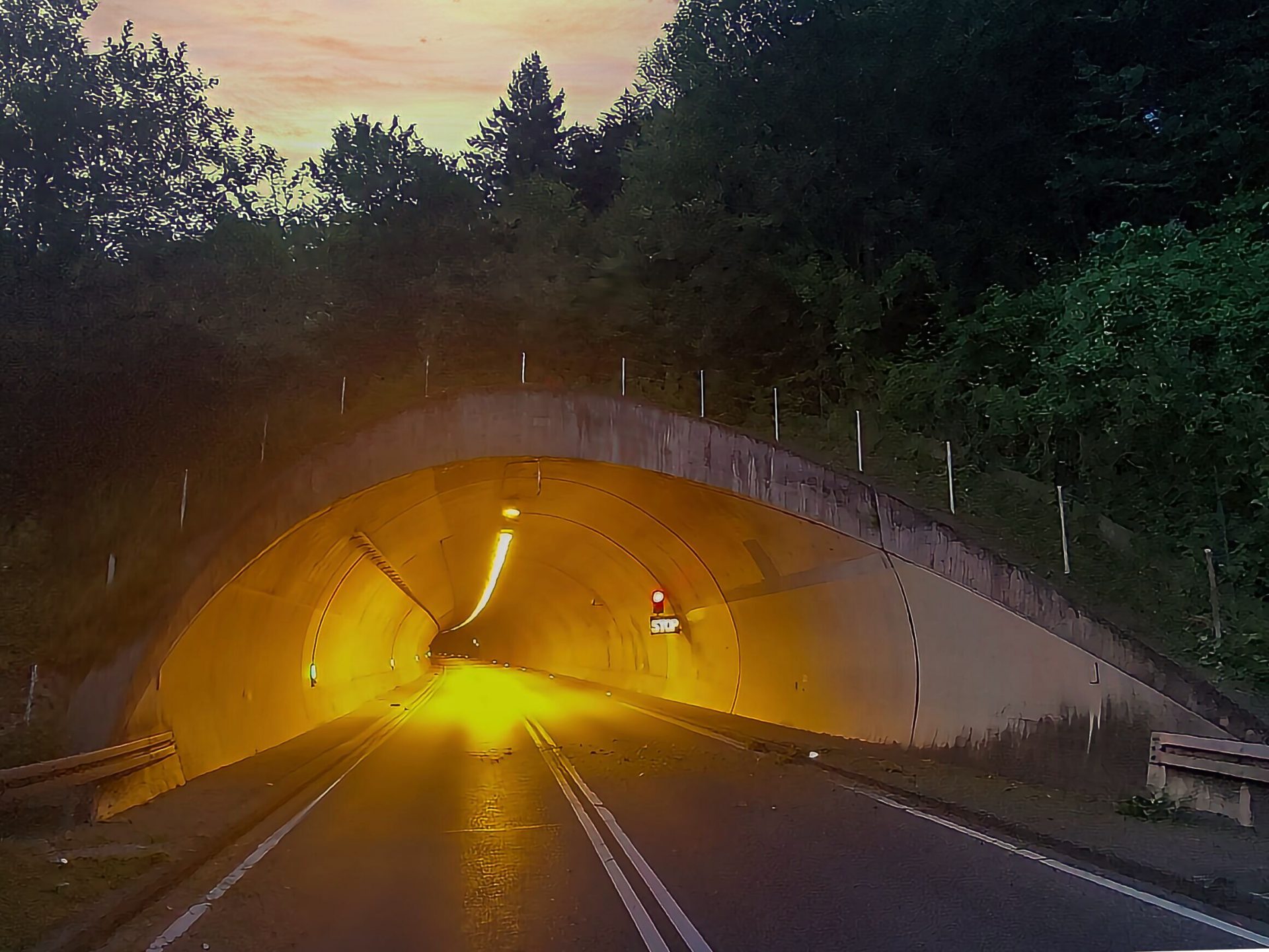 https://imm-bochum.de/wp-content/uploads/2025/01/Buergerwald2.jpg